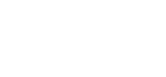 Liberty University Logo